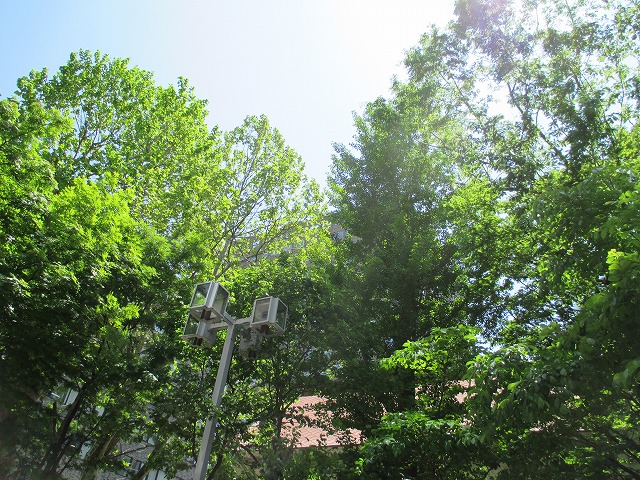 f0202703_2245519.jpg