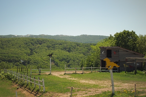 c0202705_11271678.jpg