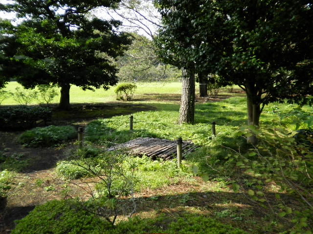 a0212807_134646.jpg