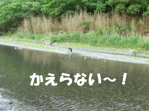 b0239909_23322878.jpg