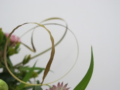 c0178009_17375589.jpg