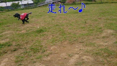 b0236618_8502910.jpg