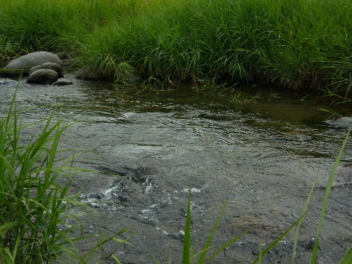 f0103126_22545035.jpg