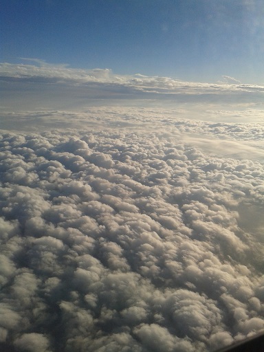 f0111926_100055.jpg