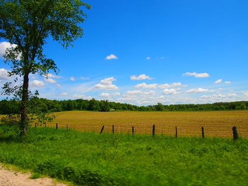 f0111926_9221060.jpg