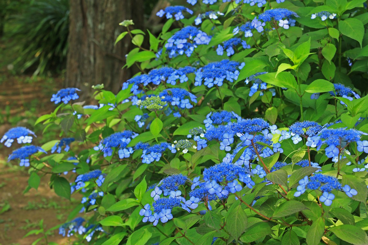 c0104227_2144631.jpg