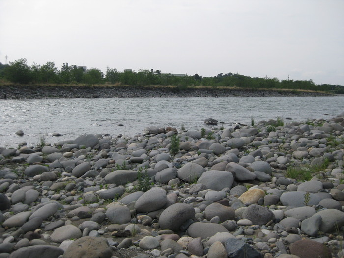 f0090131_1321179.jpg