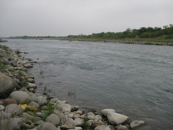 f0090131_1322211.jpg