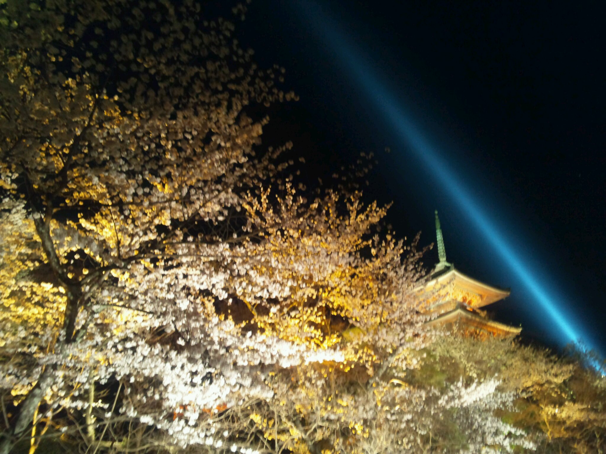 e0048932_118589.jpg