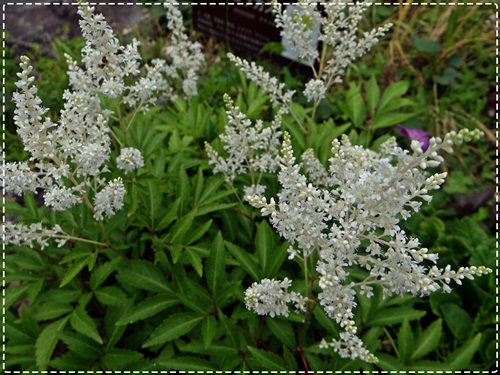 d0037233_9213413.jpg