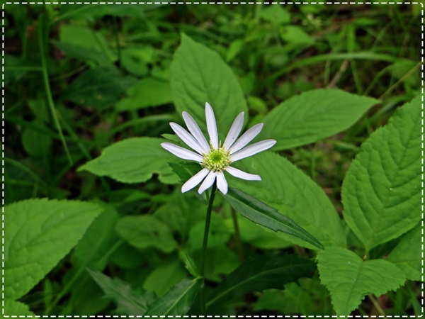 d0037233_9225075.jpg