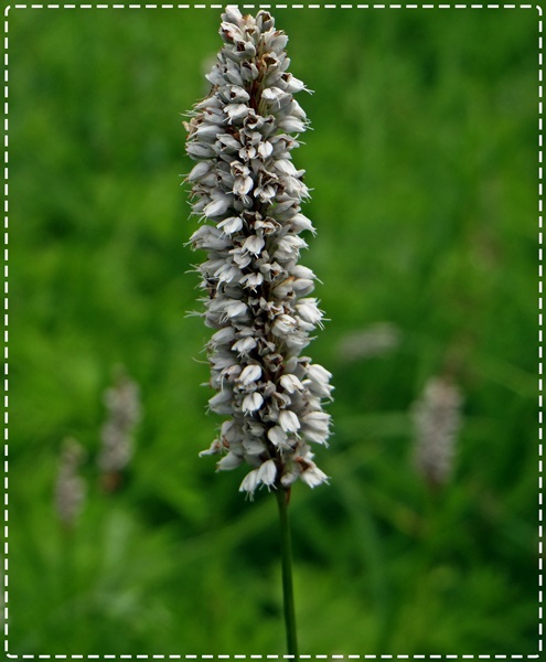 d0037233_9433182.jpg
