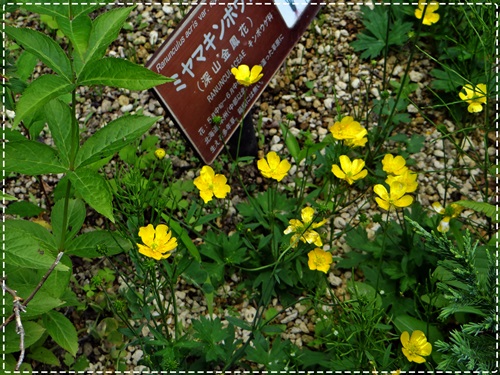 d0037233_94730100.jpg