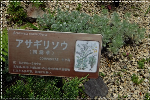 d0037233_949232.jpg