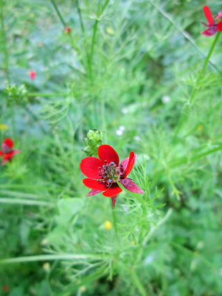 f0234936_6375474.jpg