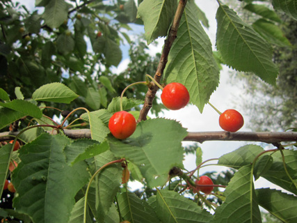 f0234936_6383624.jpg