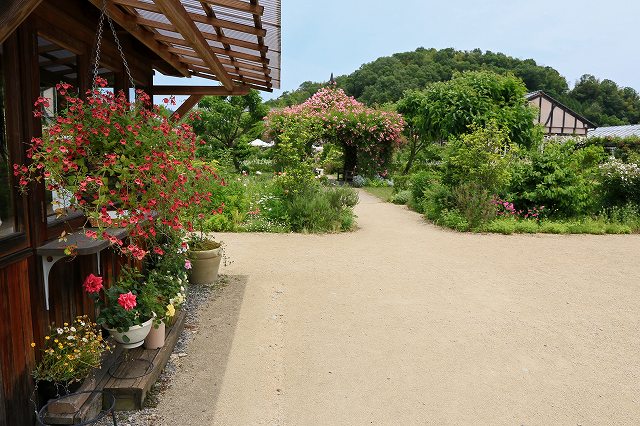 a0242438_1955187.jpg