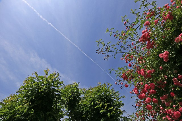 a0242438_19555011.jpg