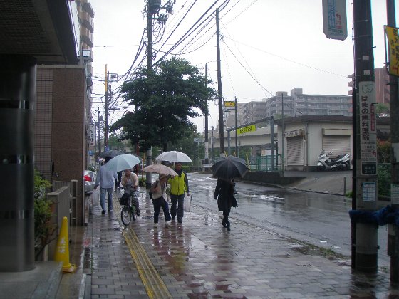 c0012640_1936066.jpg