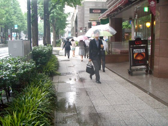 c0012640_19361192.jpg