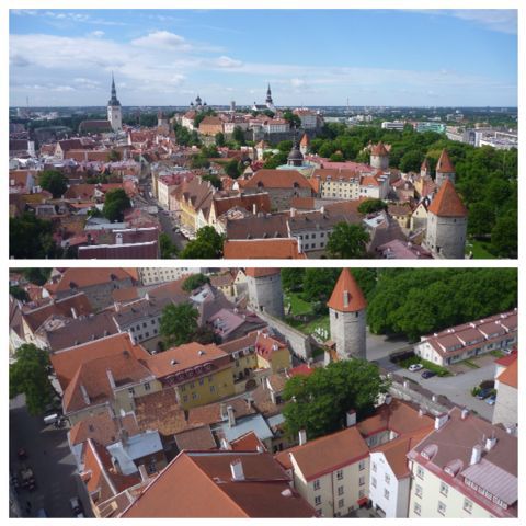e0210347_0362441.jpg