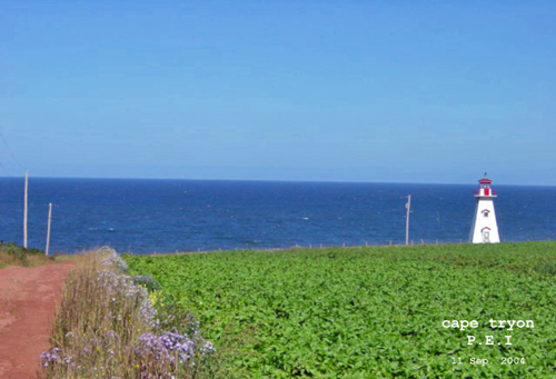 b0288550_16133552.jpg