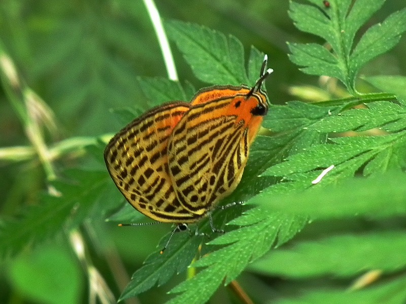 a0018655_20482539.jpg