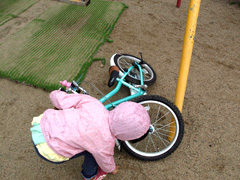 b0054956_15171357.jpg