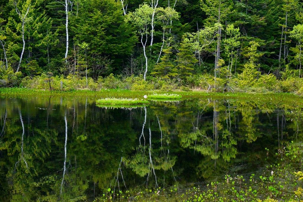 e0223456_1072687.jpg