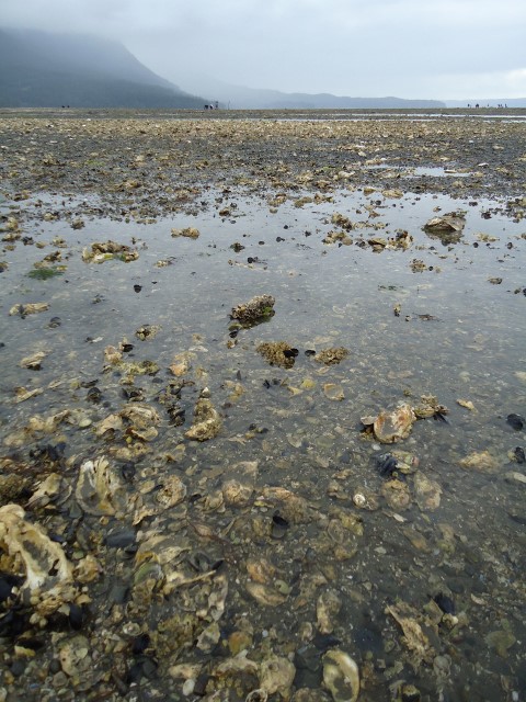 d0172957_1582334.jpg