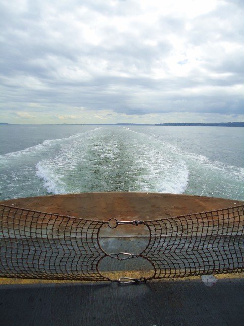 d0172957_1591570.jpg