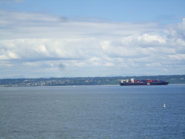 d0172957_159494.jpg
