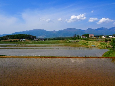 e0001860_8311928.jpg