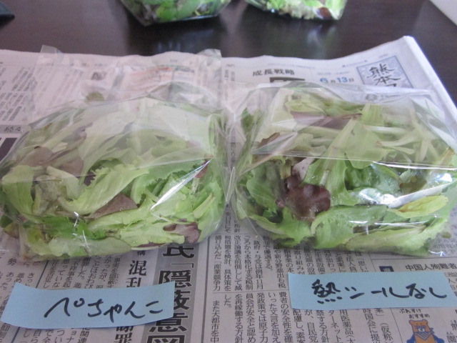 e0181260_17425021.jpg