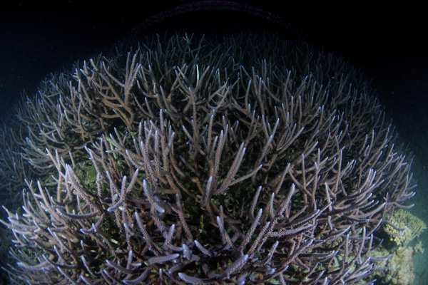 b0062363_7273387.jpg