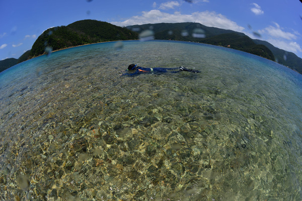 b0062363_727627.jpg