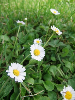 f0097363_13203564.jpg