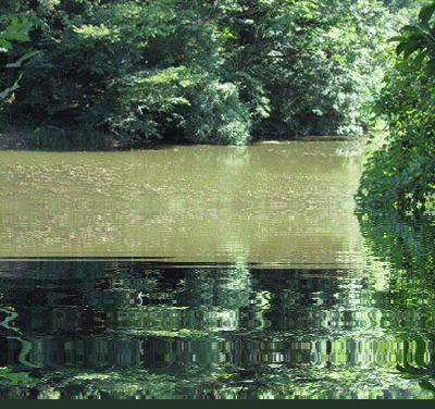 b0149071_16351383.gif