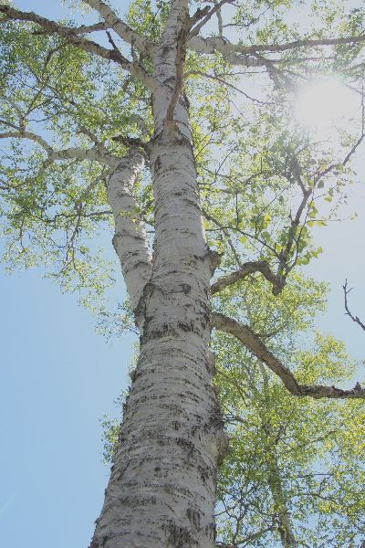 e0307372_23405739.jpg