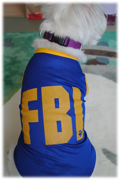 b0242873_050598.png