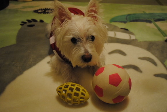 b0242873_0584765.jpg