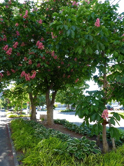 d0084473_1635188.jpg