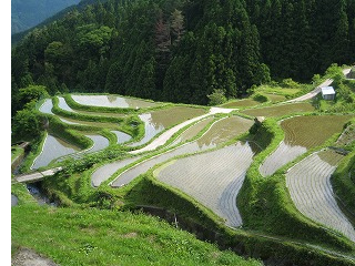 f0054677_9111749.jpg