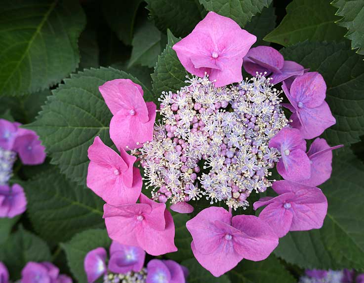 b0057679_933220.jpg