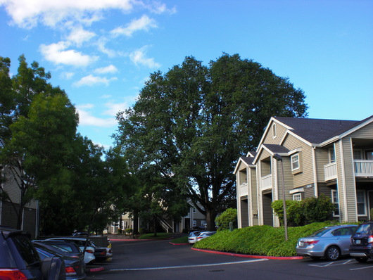 f0112080_7314982.jpg
