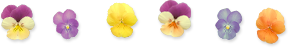 c0221884_10494586.png