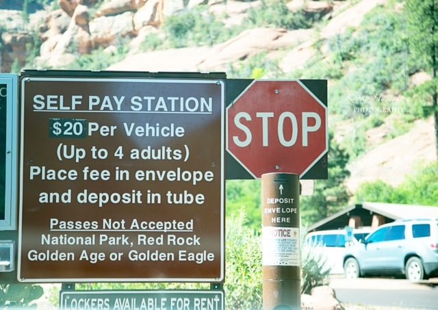 e0148185_8321811.jpg