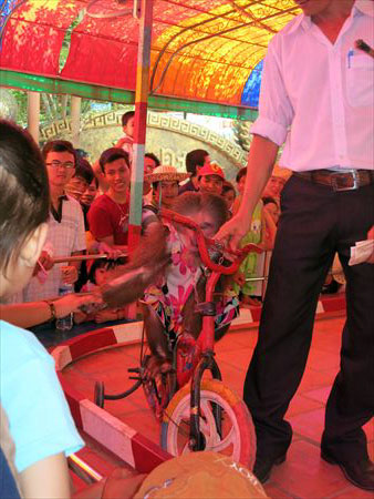 b0203894_22395293.jpg