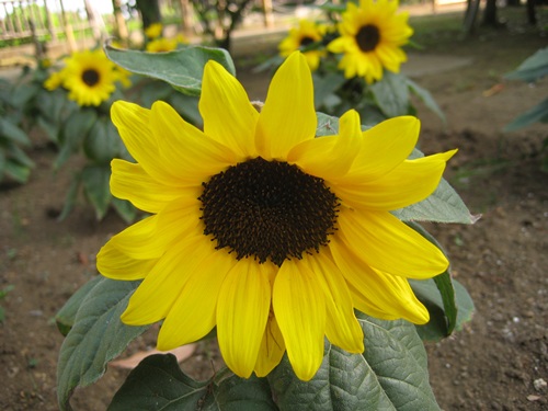 f0201297_14421774.jpg
