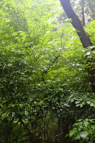b0275998_11125190.jpg